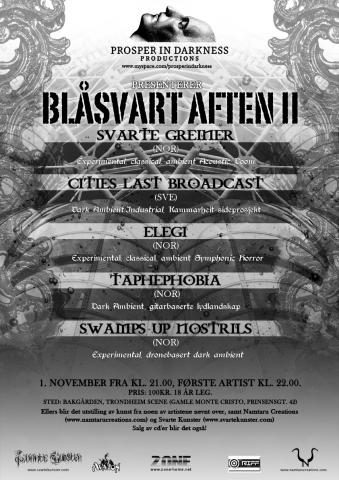 Blåsvart Aften 2, m/Svarte Greiner og flere